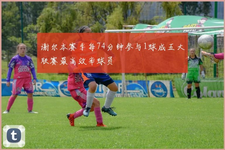 谢尔本赛季每74分钟参与1球成五大联赛最高效率球员