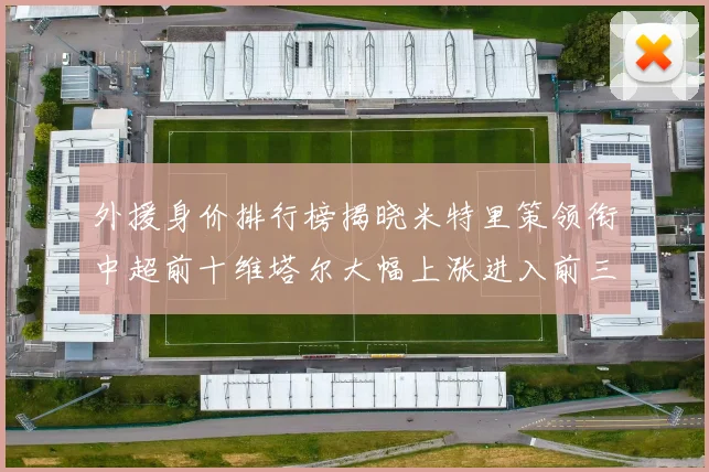 外援身价排行榜揭晓米特里策领衔中超前十维塔尔大幅上涨进入前三