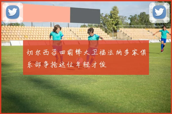 切尔西召回前锋大卫福法纳多家俱乐部争抢这位年轻才俊